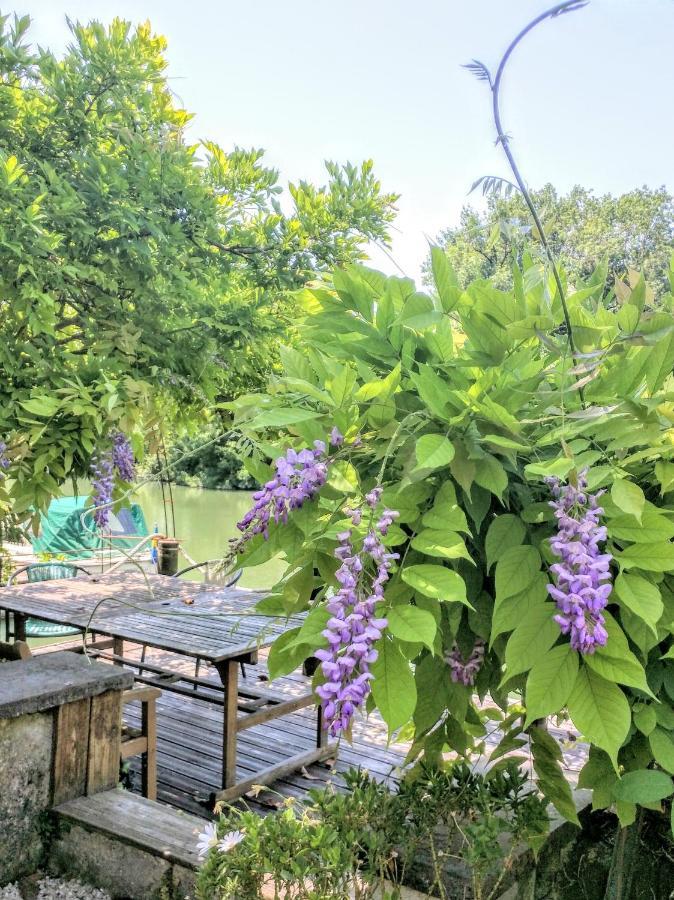 Quai Des Fleurs Bed & Breakfast Saint-Savinien Ngoại thất bức ảnh